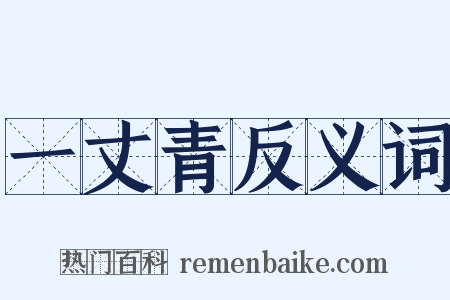 一丈青反义词是什么意思的图片